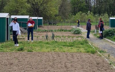 #Les jardins familiaux